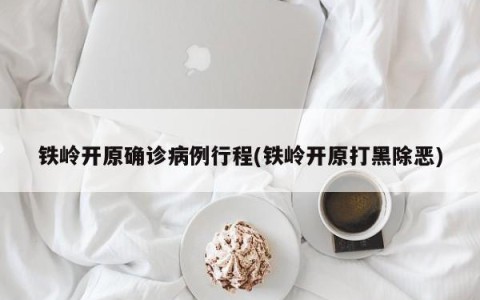 铁岭开原确诊病例行程(铁岭开原打黑除恶)